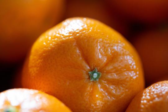 Апельсины. Фото Free for commercial use, No attribution required. Бесплатное стоковое фото для свободного скачивания