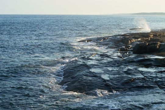 Побережье океанских волн. Фото Free for commercial use, No attribution required. Бесплатное стоковое фото для свободного скачивания