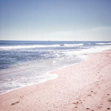 песчаный пляж. Фото Free for commercial use, No attribution required. Бесплатное стоковое фото для свободного скачивания