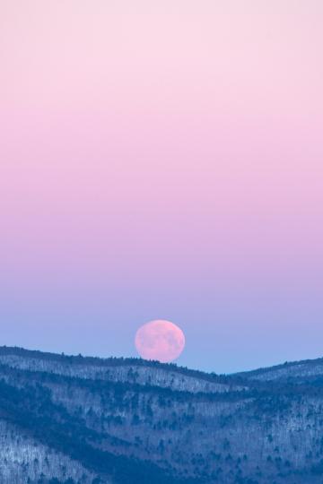 Восходящая полная луна. Фото Свободно для коммерческого использования, Атрибуция не требуется. Бесплатное стоковое фото для свободного скачивания