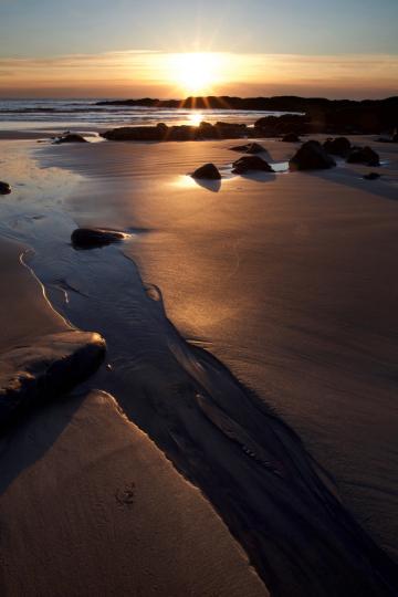 Песчаный пляж. Восход солнца. Фото Free for commercial use, No attribution required. Бесплатное стоковое фото для свободного скачивания