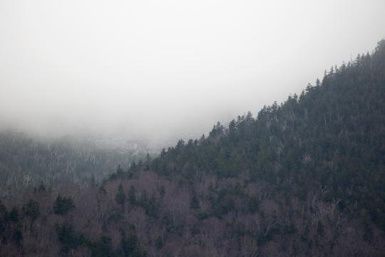 Туман Горные Деревья. Фото Свободно для коммерческого использования, Атрибуция не требуется. Бесплатное стоковое фото для свободного скачивания