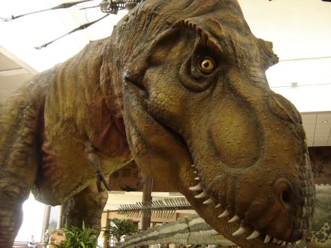 Динозавр (2). Фото Свободно для коммерческого использования, Атрибуция не требуется. Бесплатное стоковое фото для свободного скачивания