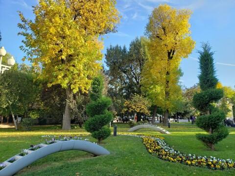 Осенний парк в Краснодаре. Фото Free for commercial use, No attribution required. Бесплатное стоковое фото для свободного скачивания