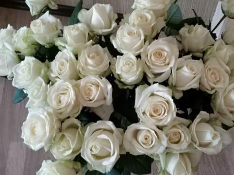 Белые розы. Фото Free for commercial use, No attribution required. Бесплатное стоковое фото для свободного скачивания