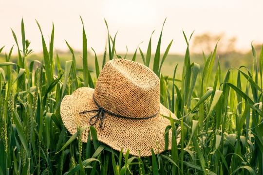 Соломеная шляпа в траве. Фото Free for commercial use, No attribution required. Бесплатное стоковое фото для свободного скачивания