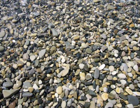 Морские камушки. Фото Свободно для коммерческого использования, Атрибуция не требуется. Бесплатное стоковое фото для свободного скачивания
