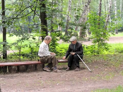 Выходной день в парке. Фото Свободно для коммерческого использования, Атрибуция не требуется. Бесплатное стоковое фото для свободного скачивания