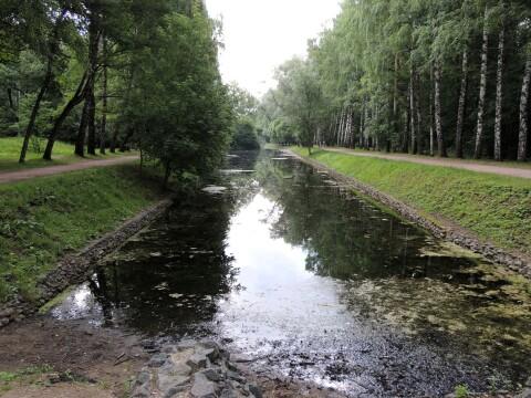 Аллея парка Сокольники. Фото Свободно для коммерческого использования, Атрибуция не требуется. Бесплатное стоковое фото для свободного скачивания