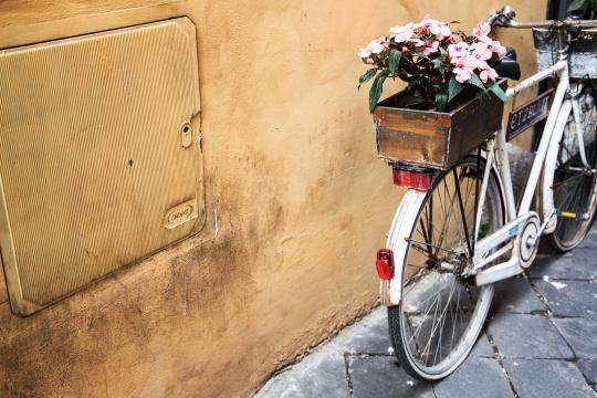 Велосипед с цветком. Фото Free for commercial use, No attribution required. Бесплатное стоковое фото для свободного скачивания