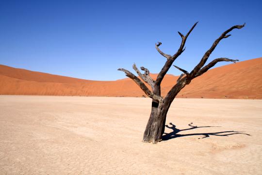 Намибия, песчаные дюны. Фото Свободно для коммерческого использования, Атрибуция не требуется. Бесплатное стоковое фото для свободного скачивания