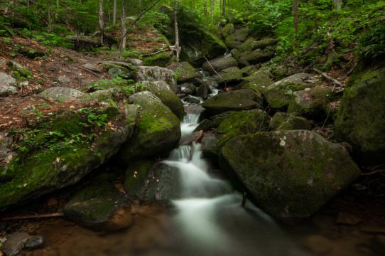 водопад в лесу. Фото Free for commercial use, No attribution required. Бесплатное стоковое фото для свободного скачивания