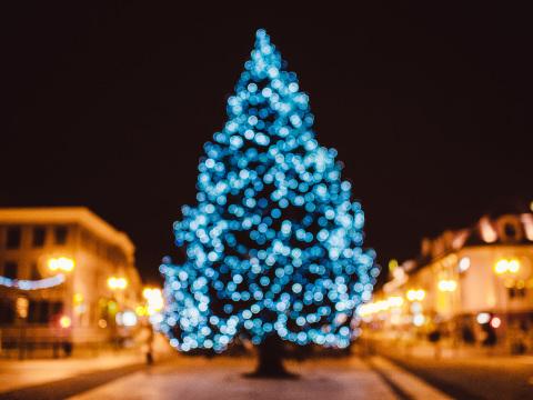 Рождественская елка (33). Фото Свободно для коммерческого использования, Атрибуция не требуется. Бесплатное стоковое фото для свободного скачивания