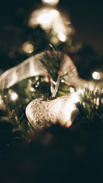 Рождественская елка. Фото Свободно для коммерческого использования, Атрибуция не требуется. Бесплатное стоковое фото для свободного скачивания