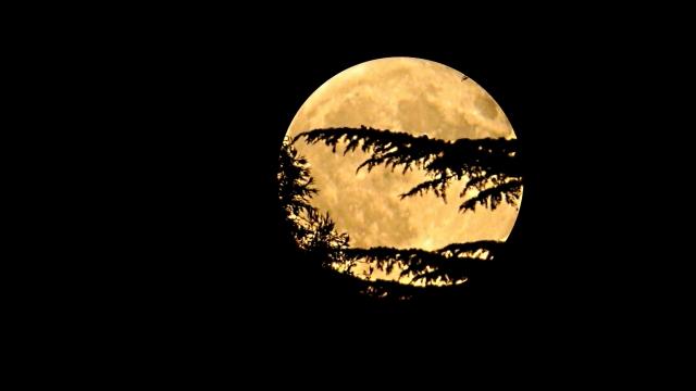 Луна ночью.. Фото Свободно для коммерческого использования, Атрибуция не требуется. Бесплатное стоковое фото для свободного скачивания