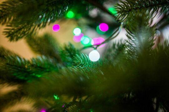 Рождественская елка. Фото Free for commercial use, No attribution required. Бесплатное стоковое фото для свободного скачивания