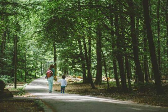 Женщина и ребенок гуляют в парке. Фото Free for commercial use, No attribution required. Бесплатное стоковое фото для свободного скачивания