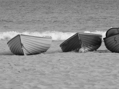 Гребные лодки на береговой линии. Фото Свободно для коммерческого использования, Атрибуция не требуется. Бесплатное стоковое фото для свободного скачивания
