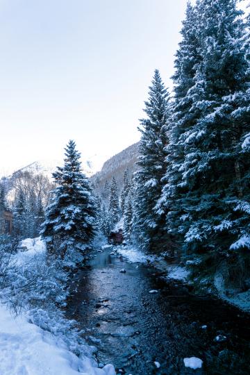 Снежный Теллуридный ручей и деревья. Фото Свободно для коммерческого использования, Атрибуция не требуется. Бесплатное стоковое фото для свободного скачивания