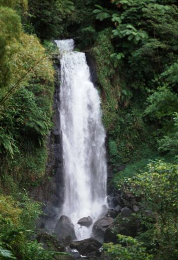 Трафальгарский водопад. Фото Свободно для коммерческого использования, Атрибуция не требуется. Бесплатное стоковое фото для свободного скачивания