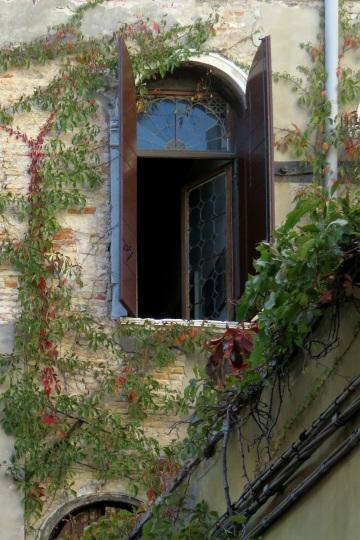 Окно в Венеции. Фото Свободно для коммерческого использования, Атрибуция не требуется. Бесплатное стоковое фото для свободного скачивания