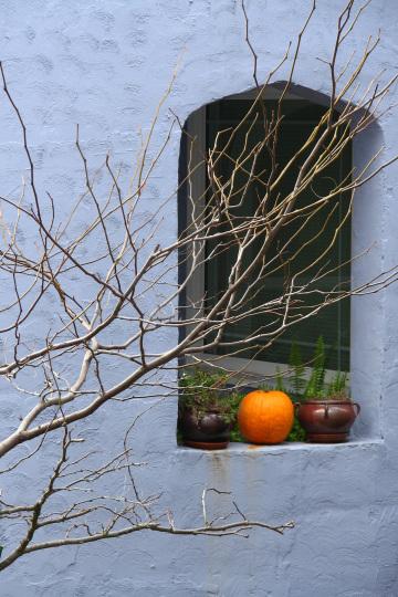 Голубая стена с окном и деревом. Фото Free for commercial use, No attribution required. Бесплатное стоковое фото для свободного скачивания