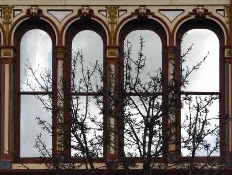 Арочные окна с деревом. Фото Free for commercial use, No attribution required. Бесплатное стоковое фото для свободного скачивания