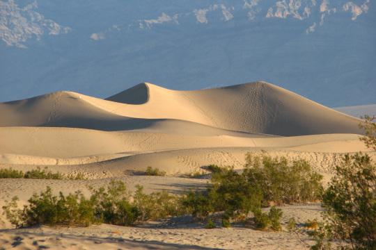 Песчаные дюны долины смерти. Фото Free for commercial use, No attribution required. Бесплатное стоковое фото для свободного скачивания