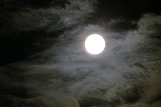 Полная луна с облаками. Фото Свободно для коммерческого использования, Атрибуция не требуется. Бесплатное стоковое фото для свободного скачивания