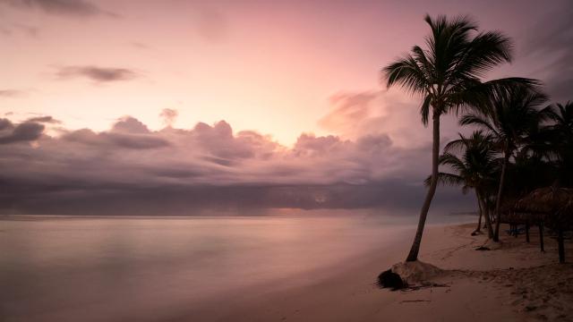 Тропический пляж на закате. Фото Free for commercial use, No attribution required. Бесплатное стоковое фото для свободного скачивания