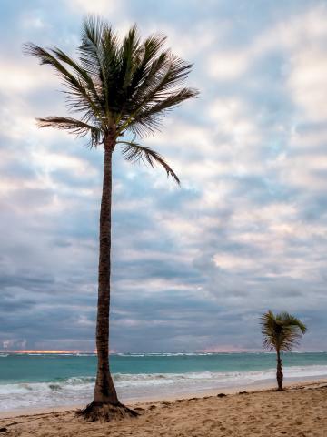 Небо тропического пляжа. Фото Free for commercial use, No attribution required. Бесплатное стоковое фото для свободного скачивания