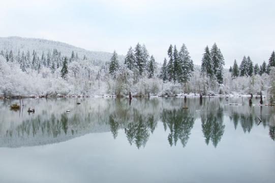 Зимний пруд. Фото Free for commercial use, No attribution required. Бесплатное стоковое фото для свободного скачивания