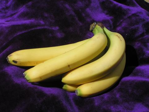 Гроздь бананов. Фото Free for commercial use, No attribution required. Бесплатное стоковое фото для свободного скачивания