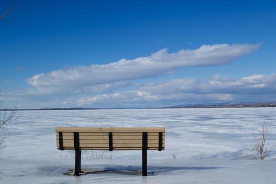 Зимний парк. Фото Free for commercial use, No attribution required. Бесплатное стоковое фото для свободного скачивания