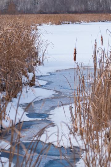 Замерзшее озеро. Фото Свободно для коммерческого использования, Атрибуция не требуется. Бесплатное стоковое фото для свободного скачивания