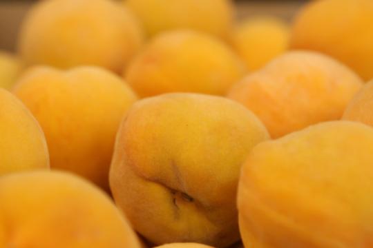 Свежие плоды персика. Фото Free for commercial use, No attribution required. Бесплатное стоковое фото для свободного скачивания