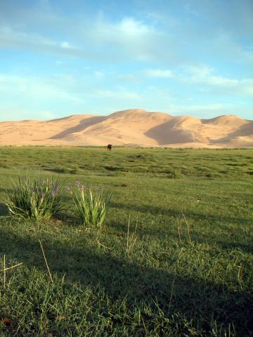 Пустыня Гоби. Фото Свободно для коммерческого использования, Атрибуция не требуется. Бесплатное стоковое фото для свободного скачивания