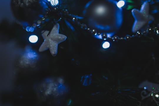 Рождественская елка (34). Фото Свободно для коммерческого использования, Атрибуция не требуется. Бесплатное стоковое фото для свободного скачивания