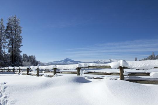 Снежный зимний пейзаж. Фото Free for commercial use, No attribution required. Бесплатное стоковое фото для свободного скачивания