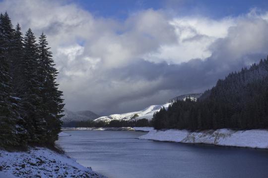 Зимний  лес и река. Фото Free for commercial use, No attribution required. Бесплатное стоковое фото для свободного скачивания