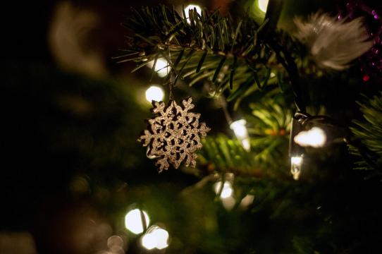 Рождественская елка (36). Фото Свободно для коммерческого использования, Атрибуция не требуется. Бесплатное стоковое фото для свободного скачивания