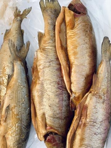 Копченая рыба на рыбном рынке. Фото Free for commercial use, No attribution required. Бесплатное стоковое фото для свободного скачивания