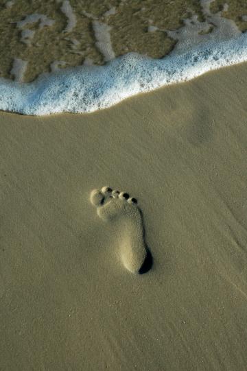 Отпечаток ноги на песке (2). Фото Свободно для коммерческого использования, Атрибуция не требуется. Бесплатное стоковое фото для свободного скачивания