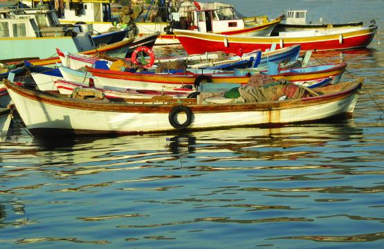 Лодки в Кушадасах. Фото Свободно для коммерческого использования, Атрибуция не требуется. Бесплатное стоковое фото для свободного скачивания