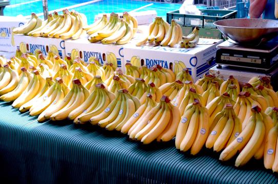 Бананы на рынке. Фото Свободно для коммерческого использования, Атрибуция не требуется. Бесплатное стоковое фото для свободного скачивания