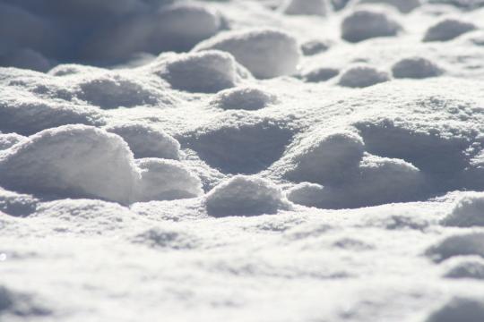 Снег, снег и снег. Фото Свободно для коммерческого использования, Атрибуция не требуется. Бесплатное стоковое фото для свободного скачивания