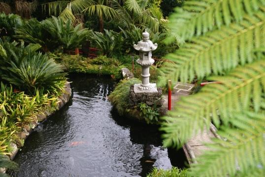 Японский сад (2). Фото Свободно для коммерческого использования, Атрибуция не требуется. Бесплатное стоковое фото для свободного скачивания