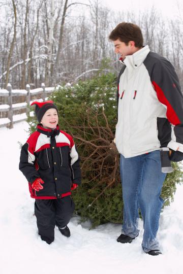 Отец и сын тащат рождественскую елку. Фото Free for commercial use, No attribution required. Бесплатное стоковое фото для свободного скачивания