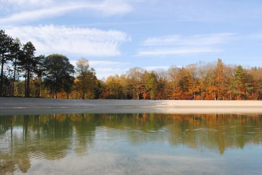 Озеро в лесу. Фото Free for commercial use, No attribution required. Бесплатное стоковое фото для свободного скачивания