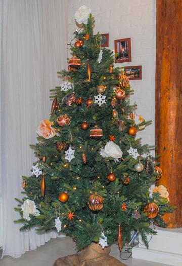 Рождественская елка (7). Фото Свободно для коммерческого использования, Атрибуция не требуется. Бесплатное стоковое фото для свободного скачивания